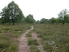 Hgelgrber in der Addenstorfer Heide