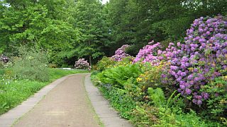 Rhododendron Park  PHB