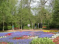 Blumenanpflanzungen im Kurpark  Petra Hitz-Bergmann