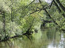 Landschaftspark an der Ilmenau  PHB