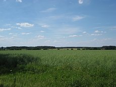 Ausblick über die Feldmark Ausblick über die Feldmark